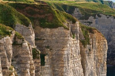 Why Opinions Matter: Shaping Culture and Personal Growth