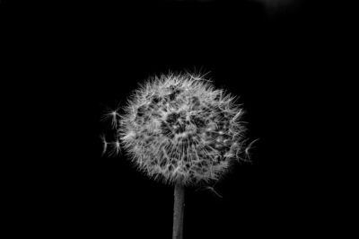 Hidden Gems: Discovering Offbeat Travel Destinations