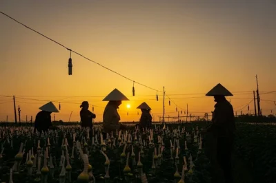 The Influence of Opinions: How Our Perspectives Shape the World